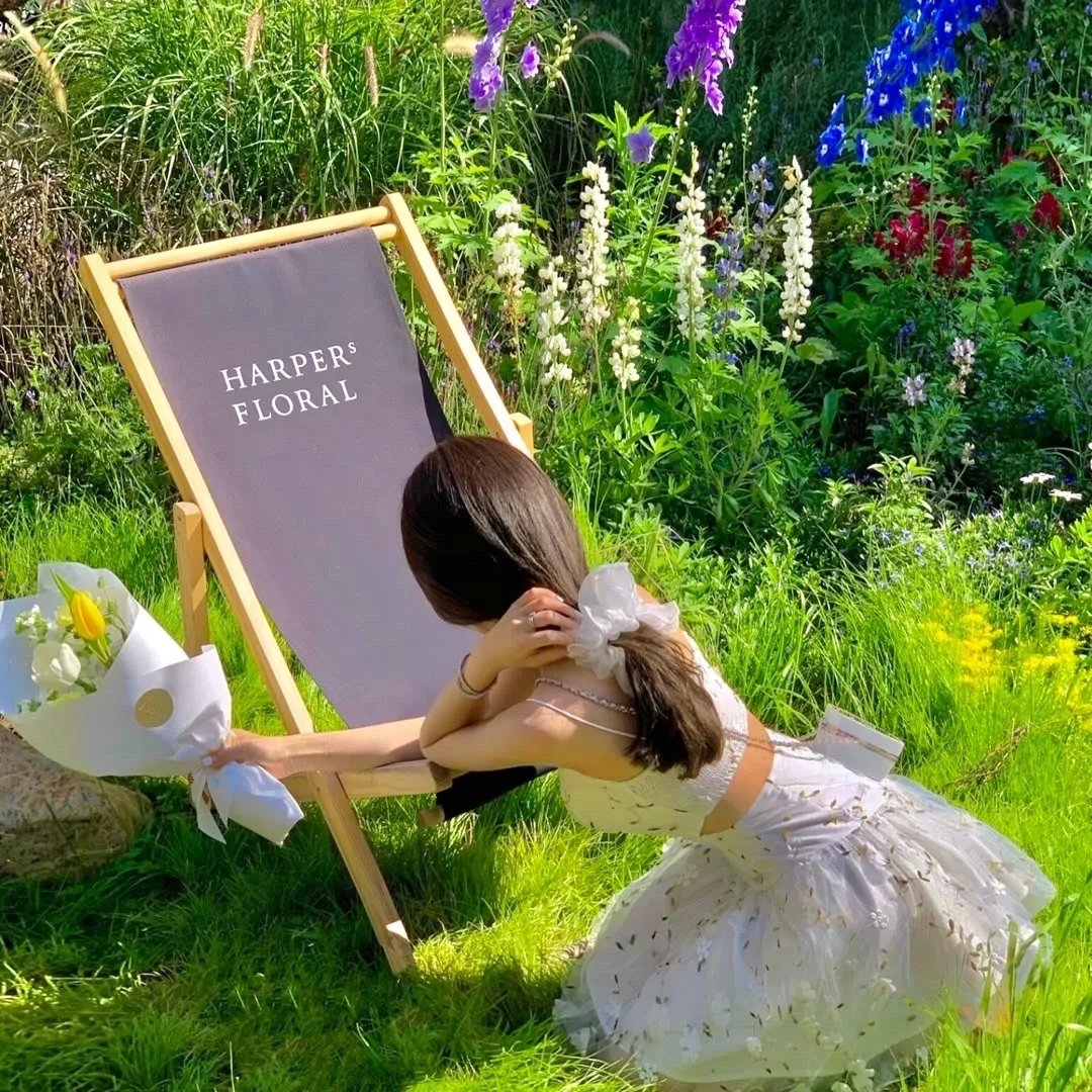 魔法老师OVA春夏特别篇